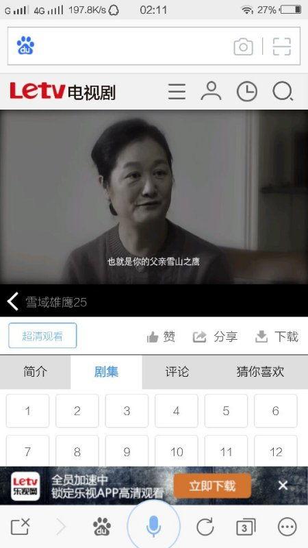 雪域雄鹰背景音乐,激昂旋律下的壮美征程