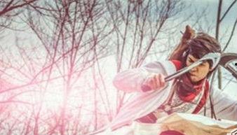 飘香剑雨  伊风背景,伊风传奇，剑舞江湖，情仇交织